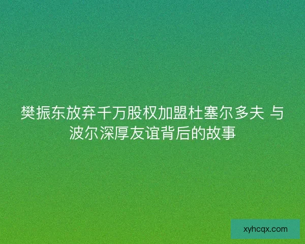 樊振东放弃千万股权加盟杜塞尔多夫 与波尔深厚友谊背后的故事